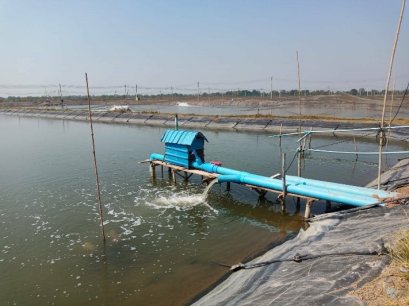 Job Report : ฟาร์มปลากะพง -จังหวัดสมมุทรสาคร