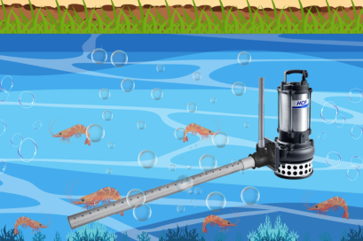 โครงงาน ติดตั้ง ปั้มเติมออกซิเจน  จังหวัดฉะเชิงเทรา