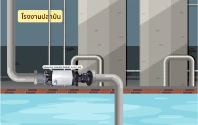  โครงการติดตั้ง การกำจัดกลิ่นโรงงานปลาป่นด้วยระบบปั๊มพ่นละอองน้ำ ติดตั้งรุ่นปั๊มน้ำ HCP รุ่น LH-65 (ขนาด 6 นิ้ว 5 แรง) 