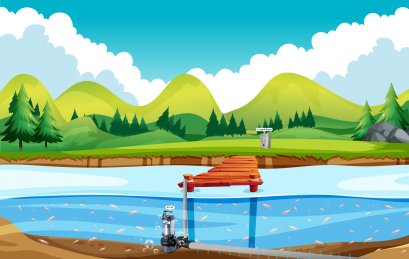 ฟาร์มกุ้ง - จังหวัดตราด