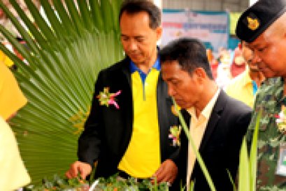 โครงการมหกรรมสุขภาพชุมชน ประจำปี 61