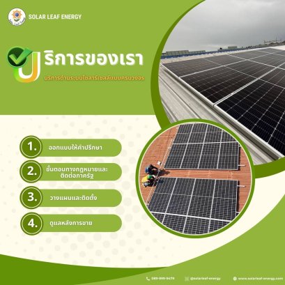 บริการของ Solar leaf energy