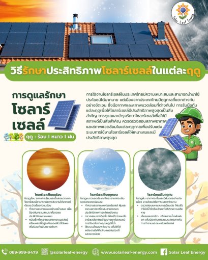 วิธีรักษาประสิทธิภาพโซลาร์เซลล์ในแต่ละฤดู