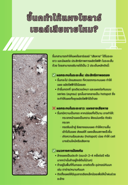 ขี้นกทำให้แผงโซลาร์เซลล์เสียหายไหม?