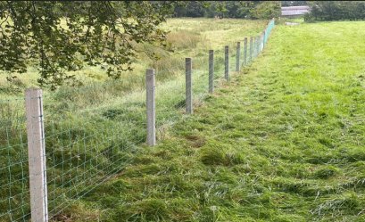 เสารั้วท้องปลิง หรือเสารั้วลวดหนามดี