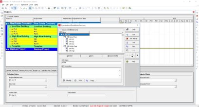 การบริหารโครงการขนาดใหญ่ด้วยโปรแกรม Oracle Primavera P6 EPPM