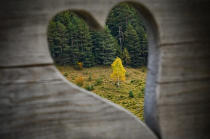 เลิกวิ่งหารัก ทั้งที่ยังเหงา ... ทำได้จริงหรือ