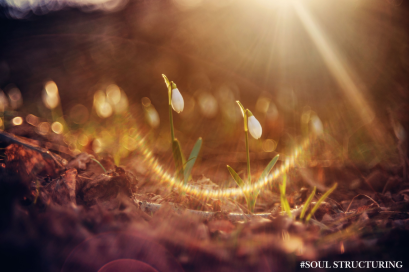 EP.7 เมื่อความดี กลายเป็นกับดักของแสง