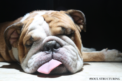 EP.4 ทำไมฉันถึงเหนื่อยขนาดนี้  Oversoul กับความอ่อนล้าในสนามที่ไม่ใช่บ้าน