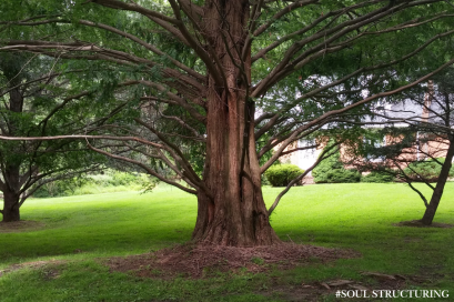 EP.4 โลกไม่ได้เหนื่อย แต่สนามของโลกกำลังเต็มไปด้วยข้อมูลที่จิตมนุษย์ยังย่อยไม่ไหว