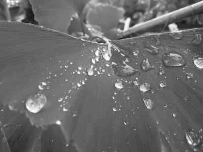 มุมมองที่ต่อไปนี้ต้องแตกต่าง....จากความสูญเสียอันยิ่งใหญ่ของปวงชนชาวไทย