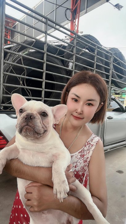 จัดส่งเต็มคัน 100เส้น  พร้อมกระทะ 100 ใบ 