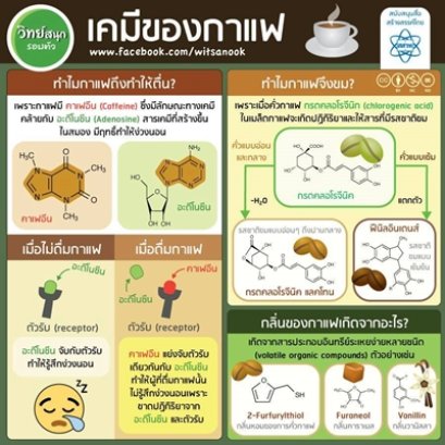 คนไทยบริโภคกาแฟเฉลี่ย 200 แก้วต่อปี 