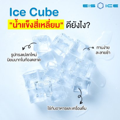 เครื่องทำน้ำแข็ง