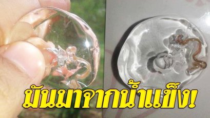 ขยะแขยง พยาธิโดนแช่ในน้ำแข็งก้อน ชี้กระบวนการผลิตสกปรกไม่ได้มาตรฐาน