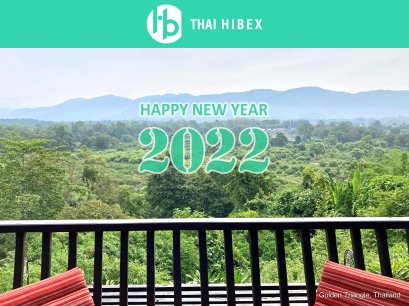 Season's Greetings 2022