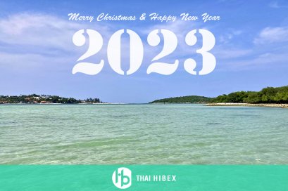 Season's Greetings 2023