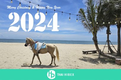 Season's Greetings 2024