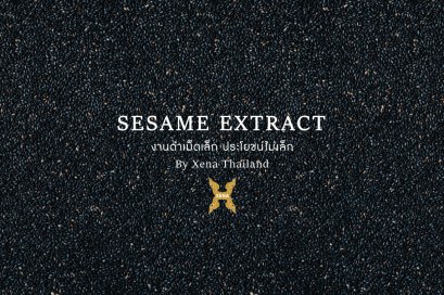 งาดำเม็ดเล็ก ประโยชน์ไม่เล็ก - Xena Thailand