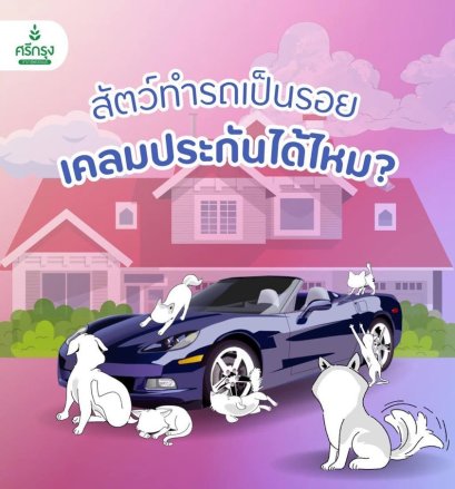 สัตว์ ทำรถเป็นรอย เคลมประกันได้ไหม?