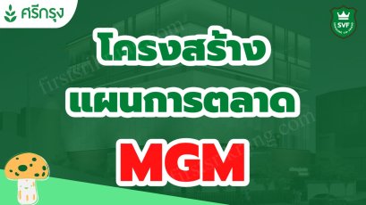  โครงสร้างแผนธุรกิจ MGM บริษัทศรีกรุงโบรคเกอร์