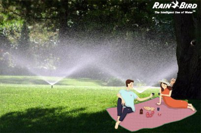 ความรู้คู่การดูแลสวน