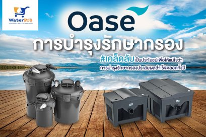 วิธีการบำรุงรักษา กรองบ่อปลา