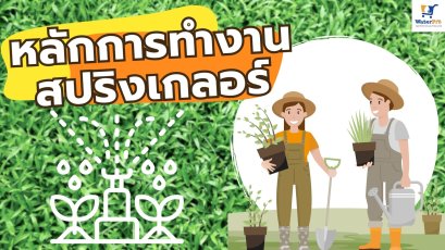หลักการทำงานของระบบสปริงเกลอร์