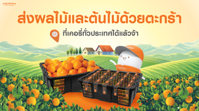 เคอรี่ ส่งผลไม้
