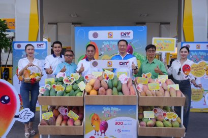 #เติมสุขเต็มใจให้มะม่วง พาณิชย์ จับมือ 4 ปั๊มน้ำมัน ซื้อมะม่วงแฟนซีภาคเหนือ 