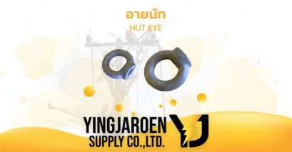อายนัท NUT EYE