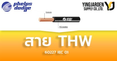 สายไฟ THW Phelps dodge เฟ้ลป์ส ดอดจ์ 60227 IEC 01