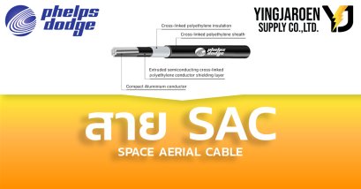 สายไฟ SAC Phelps dodge เฟ้ลป์ส ดอดจ์ SPACE AERIAL CABLE