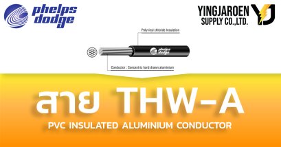 สายไฟ THW-A Phelps dodge เฟ้ลป์ส ดอดจ์ (TIS 293-2541)
