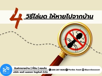 4.วิธีไล่มด ให้หายไปจากบ้าน