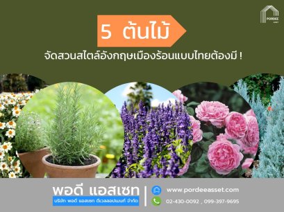5 ต้นไม้จัดสวนสไตล์อังกฤษเมืองร้อนแบบไทยต้องมี EP.1