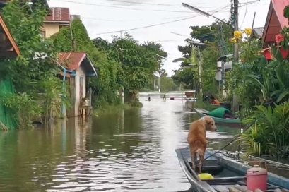 ชาวบ้านหนองกินเพล และชาวบ้านกุดชุม จ.อุบลฯ เร่งอพยพ น้ำในแม่น้ำมูลอื่นล้นเข้าท่วมบ้านเรือนแล้ว