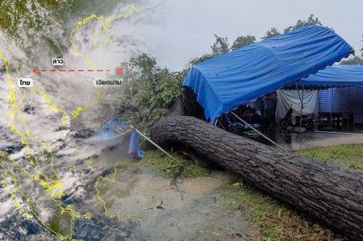 อุบลราชธานี ฤทธิ์พายุ โนรู ทำต้นไม้ล้มบ้าน - เต็นท์ผู้อพยพ