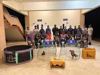 ปกครองจังหวัดภูเก็ตบุกรวบนักพนันไก่ชนได้ทั้งชาวเขมร-คนไทย รวม 9 คน หลังได้รับการร้องเรียน