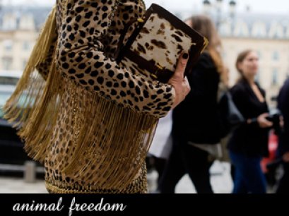 สตรีทแฟชั่น Animal Freedom