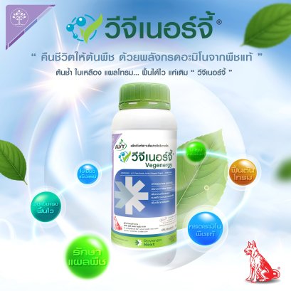 วีจีเนอร์จี้  พลังฟื้นคืนชีวิตให้พืช แข็งแรงได้