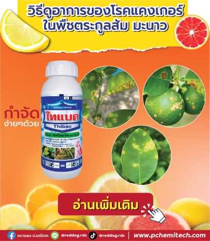 วิธีการดูแลพืชตระกูลส้ม