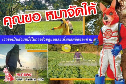 คุณขอ หมาจัดให้