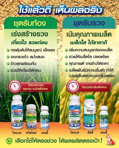  ชุดรับท้อง และ ชุดรับรวง