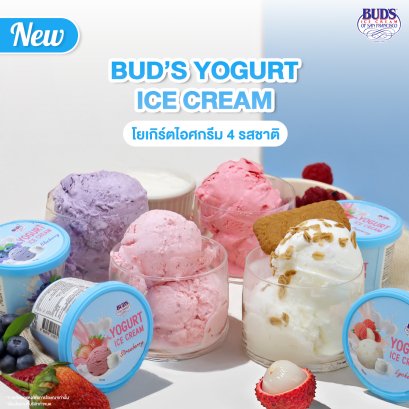 BUD'S Yogurt Ice Cream