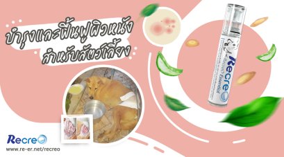 รีวิว Recreo ออยเมนท์ทาผิวอักเสบ แห้ง เรื้อน เชื้อรา แก้จมูกแห้งแตก แผล สำหรับ แมว สุนัข นก แฮมสเตอร์ กระต่าย มี Essential Fatty Acids