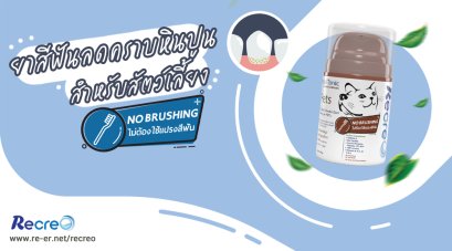 รีวิว Recreo ยาสีฟันสำหรับสุนัขและแมว ไม่ต้องใช้แปรงสีฟัน ช่วยลดคราบหินปูน เหงือกอักเสบ ลดกลิ่นปาก ด้วยสารพรีไบโอติก จากสมุนไพรธรรมชาติ