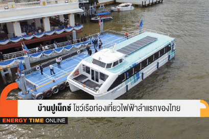 บ้านปู จำกัด (มหาชน) , บริษัท บ้านปู เน็กซ์ จำกัด