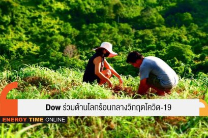 ดาว ประเทศไทย