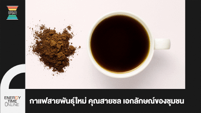 กาแฟสายพันธุ์ใหม่ คุณสายชล ที่มีเอกลักษณ์ของชุมชน